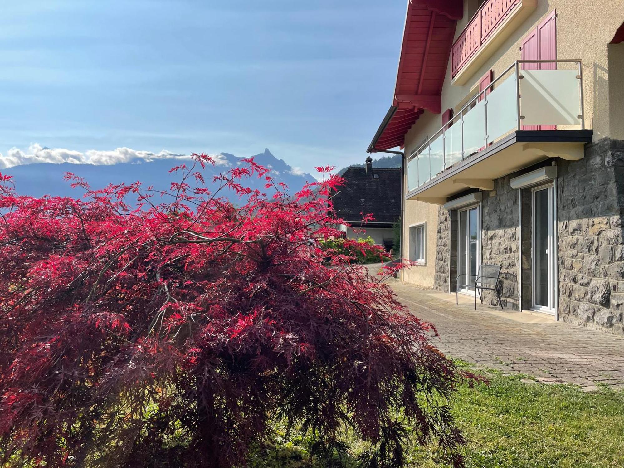 Les Dents-Du-Midi Apartamento Monthey Exterior foto