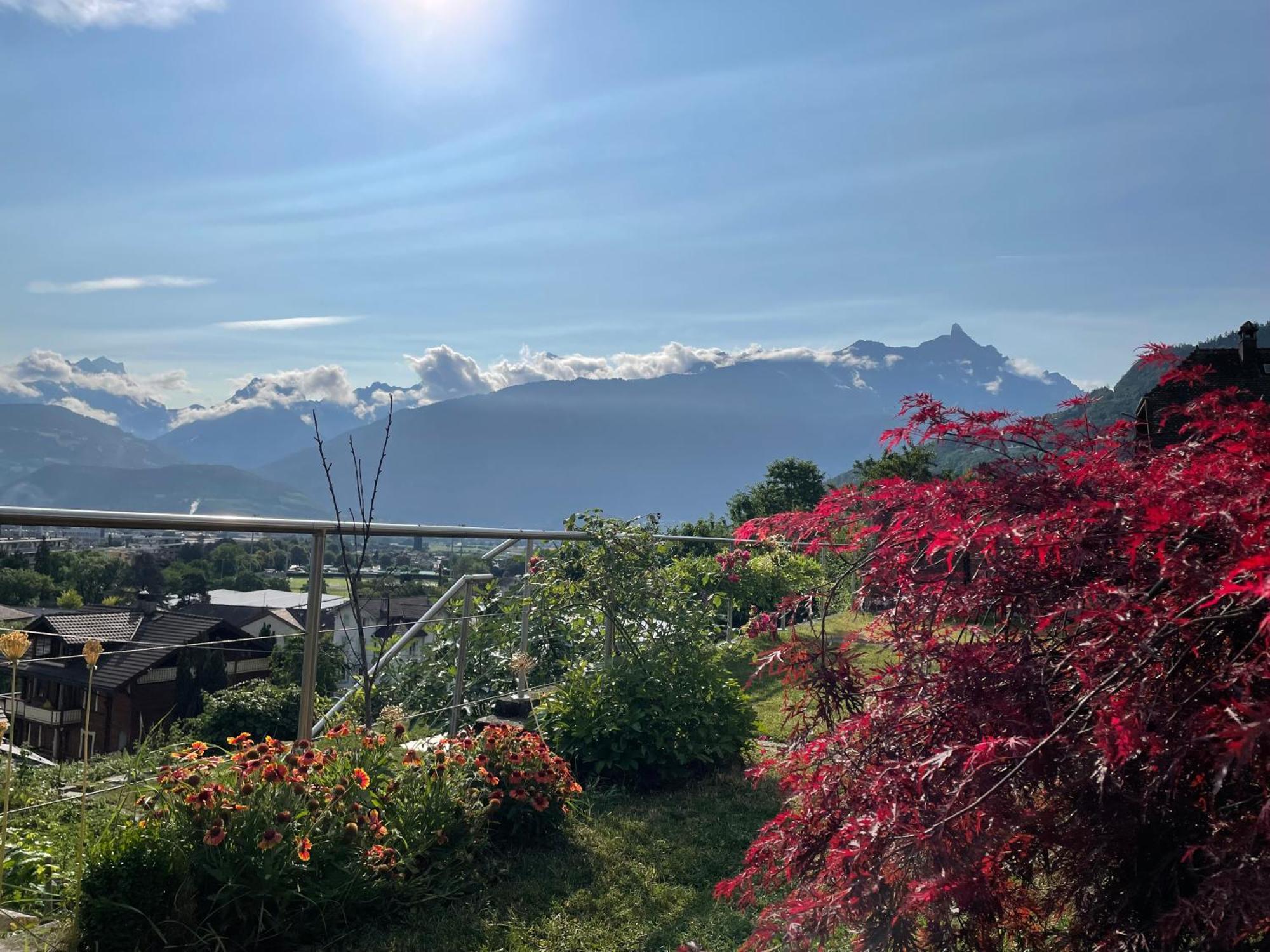 Les Dents-Du-Midi Apartamento Monthey Exterior foto